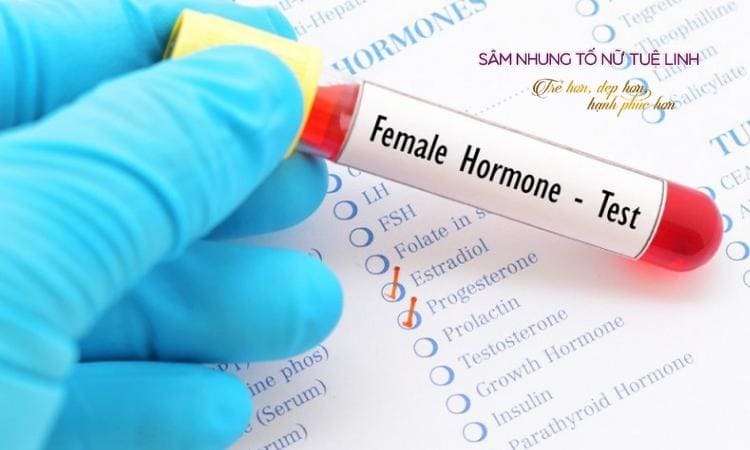 chan-doan-thieu-hut-estrogen