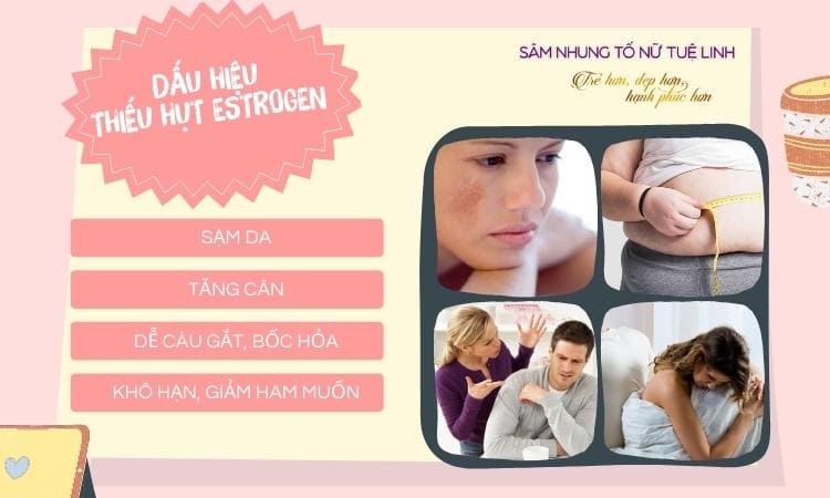 dau-hieu-thieu-hut-estrogen