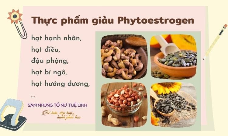 thuc-pham-giau-phytoestrogen