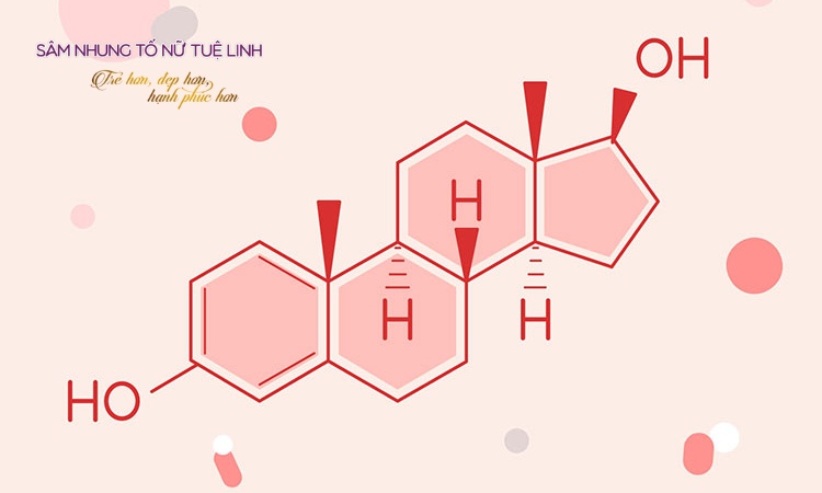 estrogen-la-gi