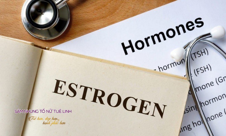 vai-tro-estrogen